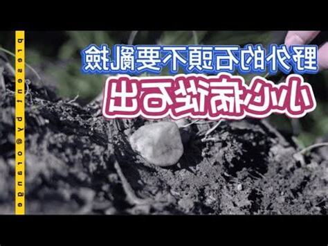 石頭病