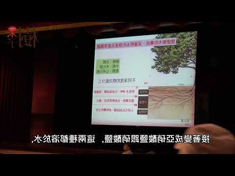 樹的名稱