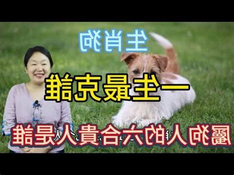 屬狗的六合