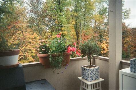 現在可以種什麼