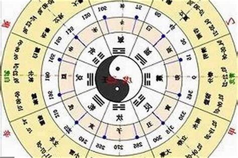查八字五行