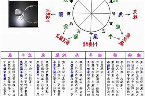 2003五行
