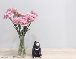 家裡放什麼花