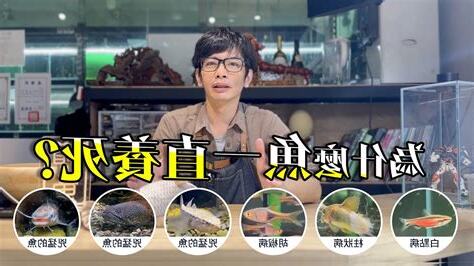 養魚死掉