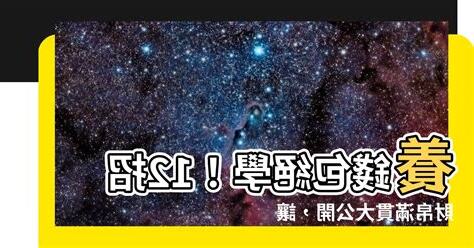 養錢包