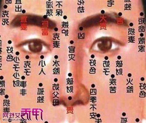 肚臍上有痣