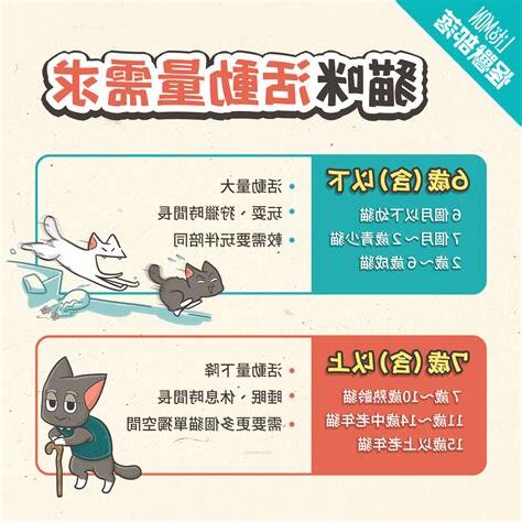 養兩隻貓禁忌