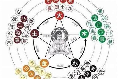 如何看五行