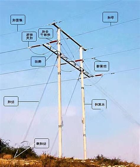 電線桿直徑
