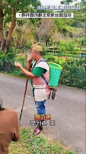 鹿象徵什麼