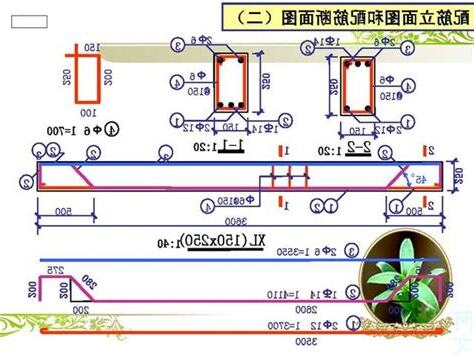 配筋圖怎麼看