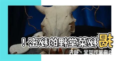 菜堂是什麼