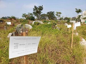 台灣墓地