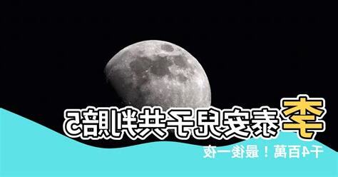 李泰安兒子