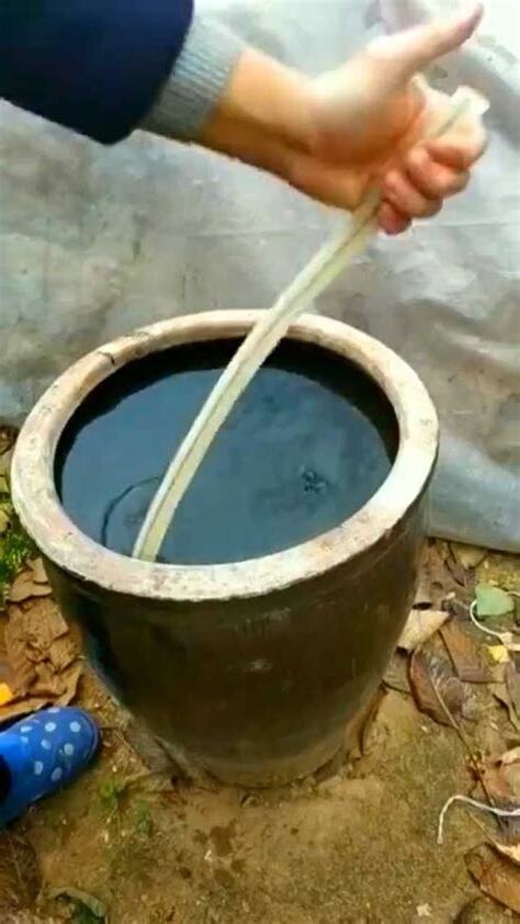 一缸水