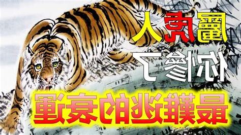 老虎代表什麼