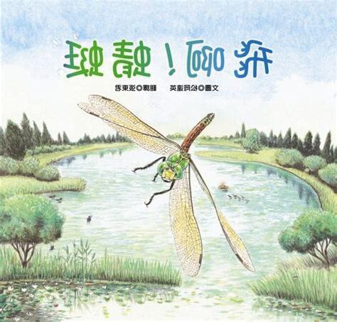 蜻蜓飛進來