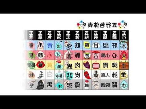 5行式體表