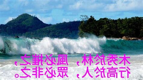木秀於林，風必摧之