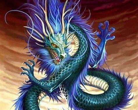 龍的屬性