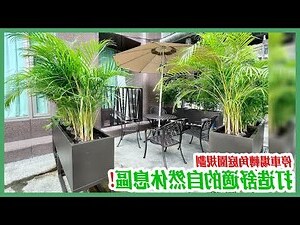 庭院設計圖