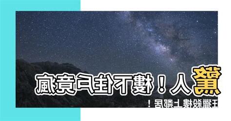 樓下殺樓上