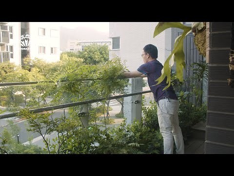 西曬陽台樹木