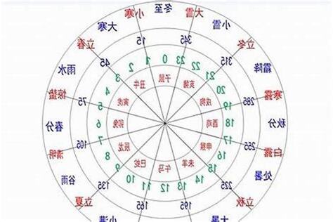 2005年五行属什么