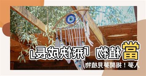 夢見植物生長