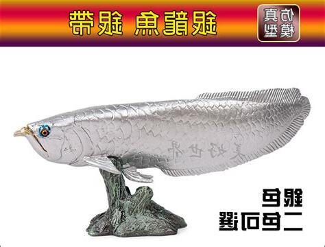 銀龍魚風水