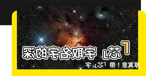 芯名字意思