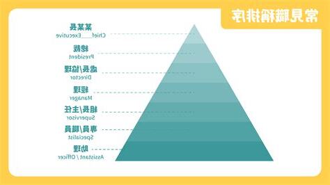 公司主管階級