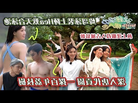 百年荔枝樹