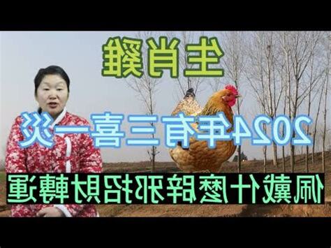 屬雞坐向