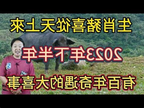 2023屬牛買房