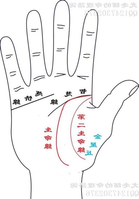 生命線分兩條
