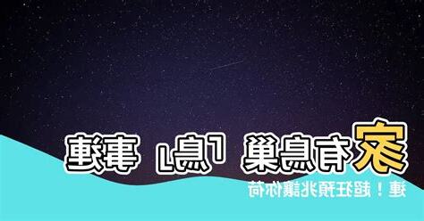 家有鳥巢怎麼辦