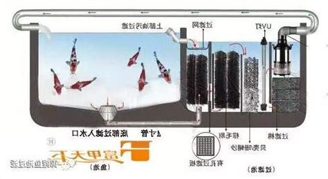 過濾池設計