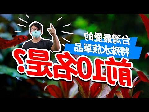 紅色水草入門