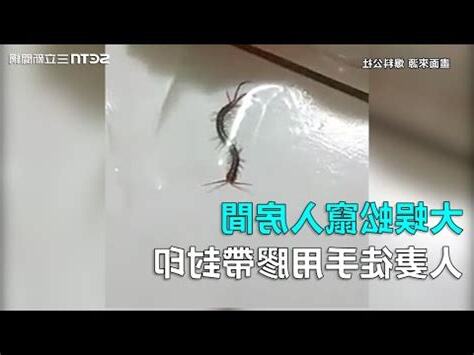 房間有蜈蚣代表什麼