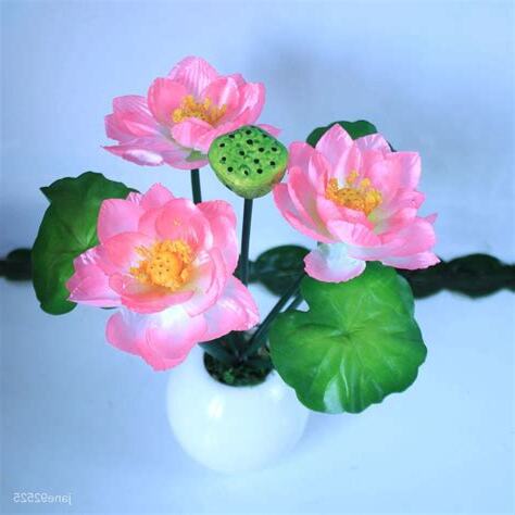 供奉觀音的花