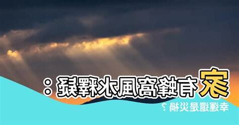 家裡有蜂窩風水
