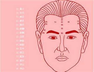 額頭運