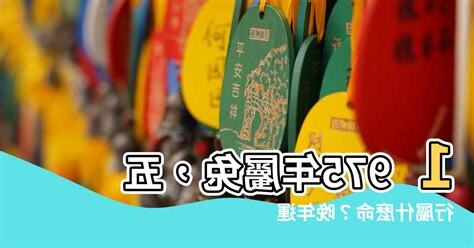 屬兔五行屬什麼