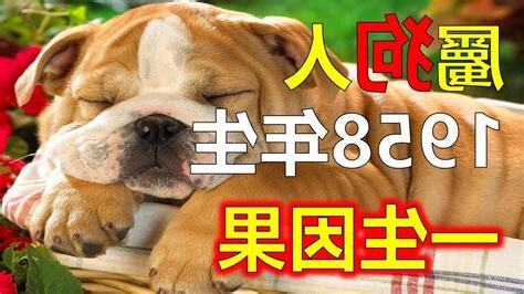 1958年屬狗