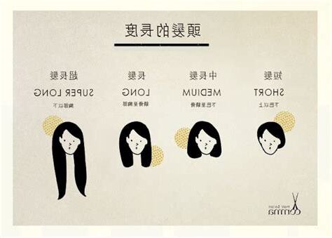 髮長示意圖