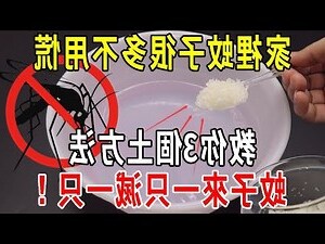家裡有蚊子