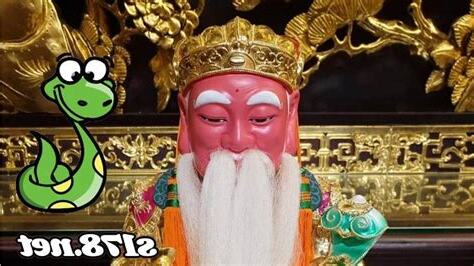 看到蛇號碼