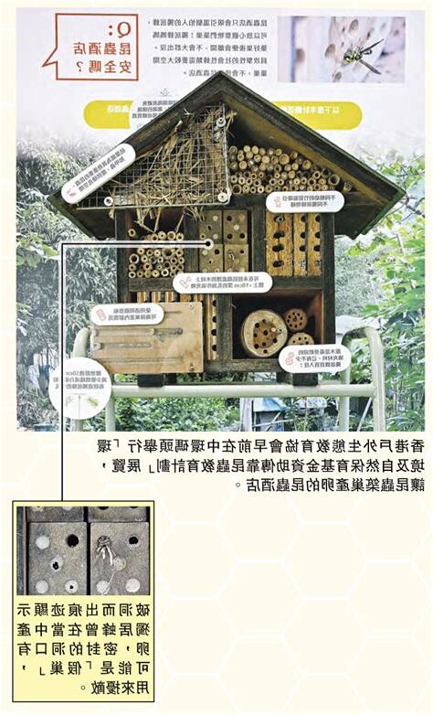 蜂築巢