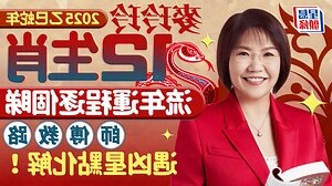 屬狗佩戴飾物